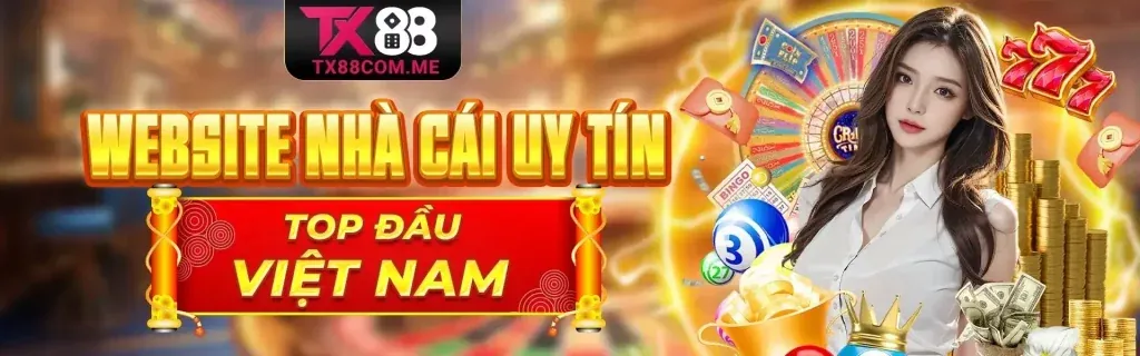 Người dùng quản lý cài đặt cookie trên trình duyệt của họ khi truy cập ao88 link vào
